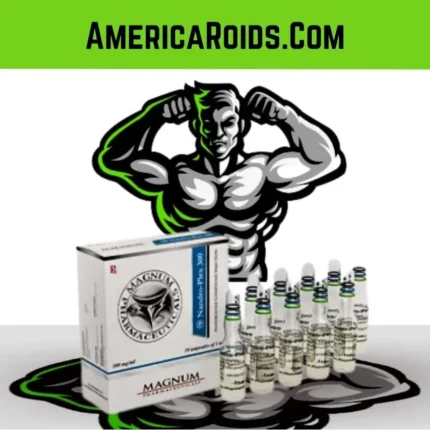 NPP + Deca 300 mg/ml 10 ampoules